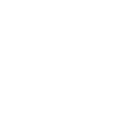 Nealogica Tech Srl